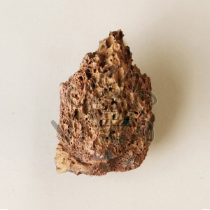 화산 암석 조각(MIR-0492)