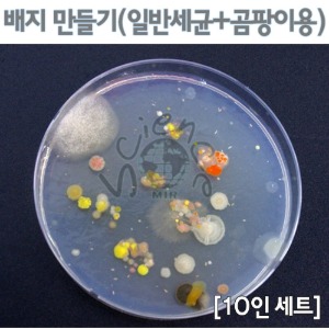 배지만들기2(일반세균+곰팡이)10인(MIR-00616)