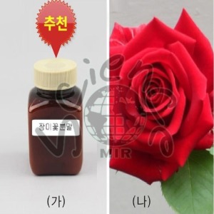 장미꽃(선택상품)(MIR-00543)