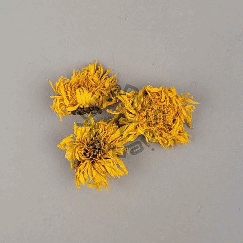 말린국화꽃(10g)