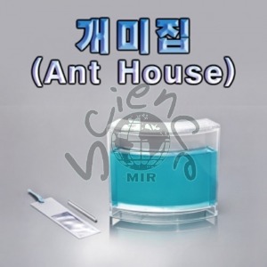 개미집(Ant House) 개미집