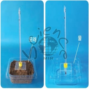 투명한사각플라스틱그릇세트(모래와물의온도변화측정실험용)(MIR-5320)