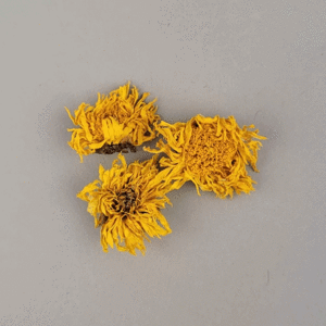 말린국화꽃(10g)
