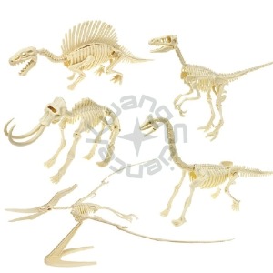 3D입체형공룡뼈조립(2종택1)